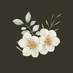 “Headliner Circle” Title Sponsor