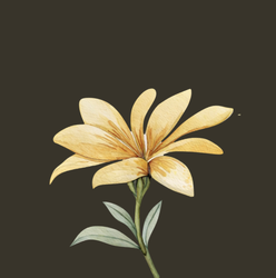 “Soundcheck Society” Sponsor