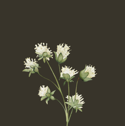 “Boots & Bourbon” Sponsor