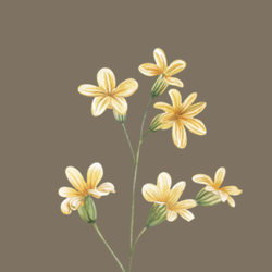 The Monochromatic Photobooth Experience